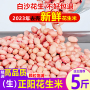2023年新货生花生米，5斤大粒白沙花生米农家自产新鲜不带壳花生仁
