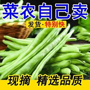云南现摘新鲜四季豆豆角10斤长扁豆角生鲜蔬菜豌豆芸豆豆