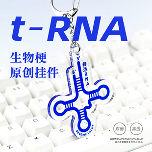 原创转运rna钥匙扣亚克力双面，挂件生物科研，趣味搞怪trna理科礼物