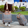 拉杆包旅行包女大容量，手提韩版短途旅游行李袋可爱轻便网红行旅包