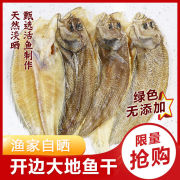 广东特产大地鱼干淡干左口鱼干比目鱼铁脯鱼，干粉新鲜商用海鲜干货