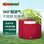 Bloombagz57升西红柿辣椒种植袋家庭阳台茄果蔬菜种植套装大号种