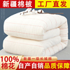 新疆长绒棉被一级棉花被芯，加厚保暖纯正棉絮床，垫被褥子冬手工棉胎