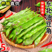 东北新鲜油豆角5斤现摘九月青豆角农家特产自种蔬菜一点红宽扁豆