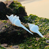 天然白海螺(白海螺，)长旋螺贝壳工艺品摄影道具鱼缸，布景海洋风格装饰品摆件