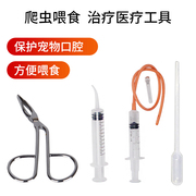 乌龟守宫蜥蜴蟒蛇爬宠拒食开口器，滴管工具喂食器灌填喂药器小勺子