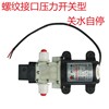 普兰迪12V25W45W 24V35W微型喷雾器自吸增压压力开关洗车高压水泵