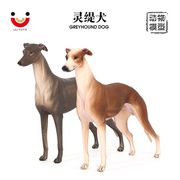 意大利灵缇犬模型格力犬Greyhound大仿真动物狗狗摆件儿童玩具