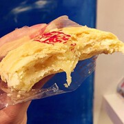 台湾特产食品 台中老店犁记太阳饼10入 传统糕点 新鲜出炉