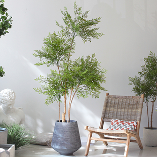 仿真绿植南天竹花盆栽，北欧家居客厅落地植物，室内仿真装饰假绿植树
