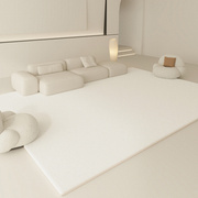 冬季奶油风客厅地毯加厚毛绒轻奢高级茶几毯纯色卧室地垫可擦免洗