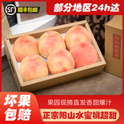 正宗无锡阳山水蜜桃新鲜水果礼盒装超大桃子白凤桃子