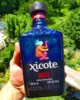 Xicote西科特神龙人珍藏龙舌兰酒