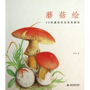 正版蘑菇绘30种蘑菇的色铅笔图绘飞乐鸟著