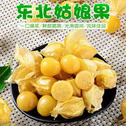 小果农东北姑娘果特产水果新鲜当季灯笼果黄菇娘洋姑娘果1斤