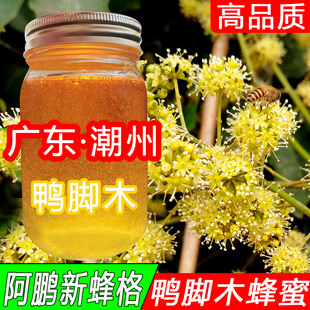 广东新鸭脚木冬蜜野生鹅掌柴结晶蜜，农家自产纯正天然成熟土中蜂蜜