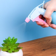 居家园艺浇花小喷壶多肉植物喷水壶塑料手压式家用瓶喷雾洒水壶