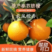 重庆特产奉节脐橙新鲜现摘老人孕妇水果甜橙整箱10斤20斤