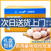 杭州农家土鸡蛋散养新鲜正宗农村鸡蛋 土鸡蛋包装盒礼盒40枚整箱