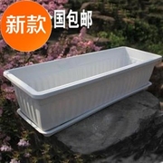 塑料水槽养花长方形，h花槽塑料花盆60cm长条，大号花盆