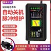 东升电动车电瓶车充电器，48v12ah48v20ah60v20通用智能36v72v12v