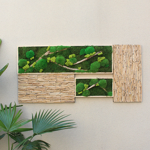 北欧装饰画日式侘寂风植物绿植，墙永生苔藓，画漂流木手工艺品背景墙