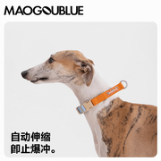 maogoublue猫狗蓝宠物项圈大型犬防勒透气小狗脖圈耐磨可调狗用品