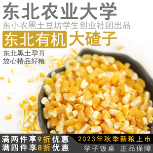 学子饭桌东北有机大碴子农家，自产玉米碴子，大粒玉米糁粗2023年新货
