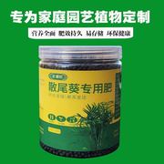 散尾葵专用肥料大型绿植盆栽迷你富贵椰子室内客厅植物营养液花肥
