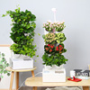 智能立体垂直绿化植物墙花盆塑料自动浇灌绿植墙面装饰绿化种植槽