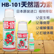 日本进口hb101植物活力素花卉，营养液缓释颗粒多肉，爆芽素生根黑腐