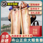 鳗鱼干舟山特产淡晒东海非油鳗自制整条大号风干海鳗鱼干海鲜干货