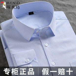 啄木鸟条纹衬衫男士长袖短袖商务正装工装职业中青年蓝白色棉衬衣