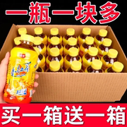 冰红茶饮料一整箱360ml/瓶装柠檬红茶风味饮料