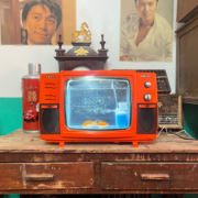 复古怀旧老式黑白电视机鱼缸橱窗展示摆件订制小型水族箱