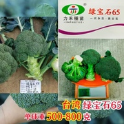 绿宝石65天西兰花种籽台湾力禾种苗绿花菜青花菜花椰菜西兰花种子