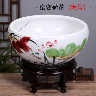 专用盆花盆碗莲睡莲养的种塑料缸碗玻璃器皿大号水培鱼缸陶瓷创意