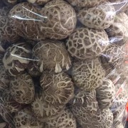特大椴木大花菇香菇冬菇250g东北土特产干货蘑菇一件