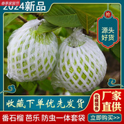 番石榴套袋台湾芭乐树上防虫防鸟网袋专用一体泡沫包装袋水果网套