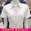 白衬衫女士长袖职业V领弹力棉商务工作服正装加大码12X短袖白衬衣