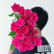 进口稀有高端纯正玫红色玫瑰鲜花花束办公家用水养插花云南直发