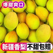 爆甜红香酥梨水果新鲜3/5/10斤当季新疆香梨脆甜多汁薄皮梨子
