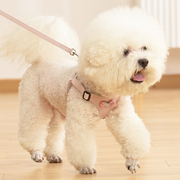 韩版网红背心式狗狗牵引绳小型犬，泰迪比熊博美胸背带遛狗绳狗链子
