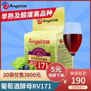 安琪葡萄酒高活性干酵母RV171型500g 自酿红酒果酒发酵水果酵母粉