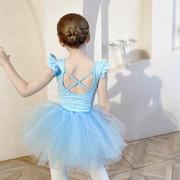 儿童舞蹈服夏季女童练功服蓝色芭蕾舞裙幼儿中国舞练舞衣分体套装
