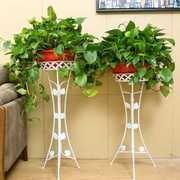 欧式花架铁艺室内客厅家用多层落地式花盆架绿萝花篮架加厚款