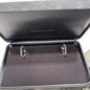 tiffany&co.蒂芙尼，22女士中号，18k白金镶嵌钻石经典圈形耳环