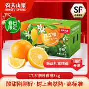 新鲜上市农夫山泉17.5°橙子春天脐橙，3kg采摘香当季水果营养