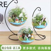 微景观生态瓶，苔藓创意植物小盆栽diy办公室桌面绿植
