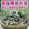 江西修水野生青钱柳原叶茶金钱柳小糖人，养生茶中老年人茶